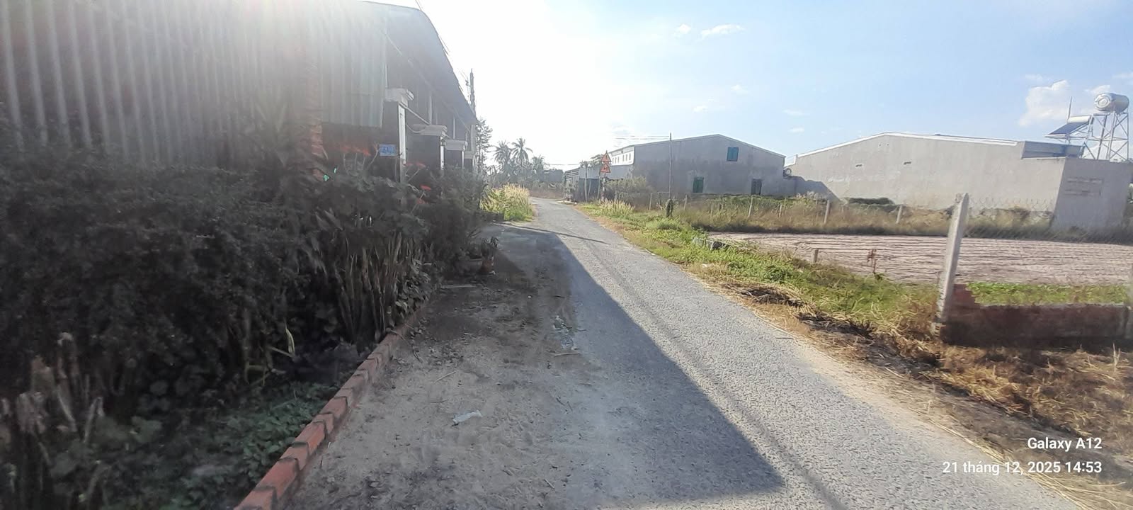 Đất thổ cư Xóm Mới, Thanh Phước, Gò Dầu 185m² giá 800 triệu - Thương lượng ngay chính chủ!