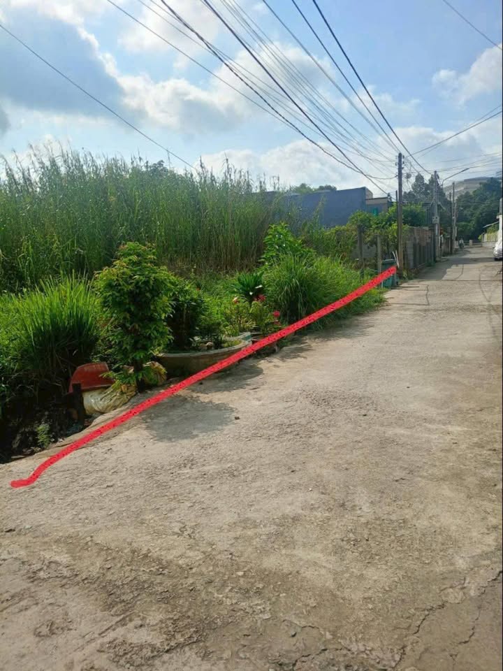 Đất lúa 1.291,3m² hẻm ô tô Trần Văn Nam, Tân An - Cơ hội đầu tư tuyệt vời!