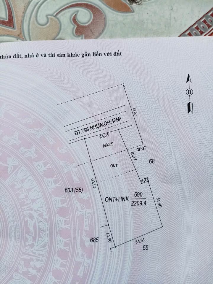 Đất nền Trà Sim Ninh Điền 1837m² giá 8.61 tỷ - Mặt tiền đường nhựa rộng rãi, kinh doanh thuận lợi!