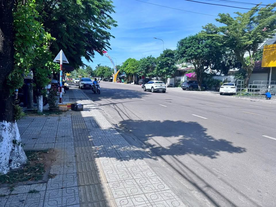 Lô đất mặt tiền đường Điện Biên Phủ, An Phú, Tân Uyên 156m² chỉ 1 tỷ - Cơ hội đầu tư tuyệt vời!