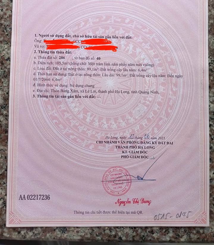 Đất thổ cư tại thôn Bằng Xăm, Lê Lợi, Hạ Long 105m² - Giá siêu đẹp chỉ từ 8xx triệu