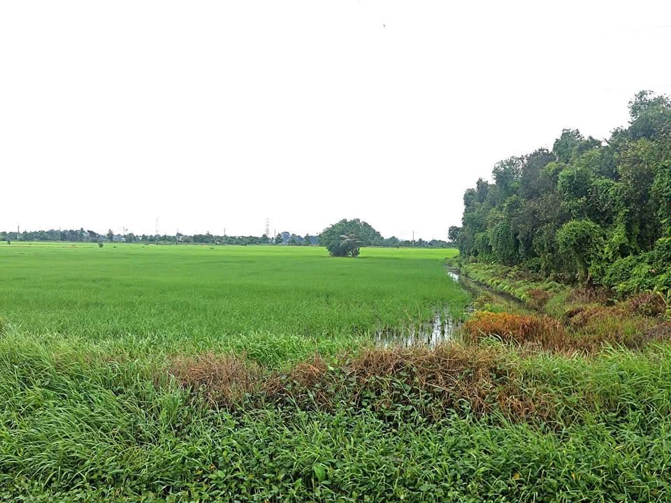 Đất nền mặt tiền Kênh Tân Phú Trung 7400m² giá chỉ 3.6 tỷ - Cơ hội đầu tư tốt!