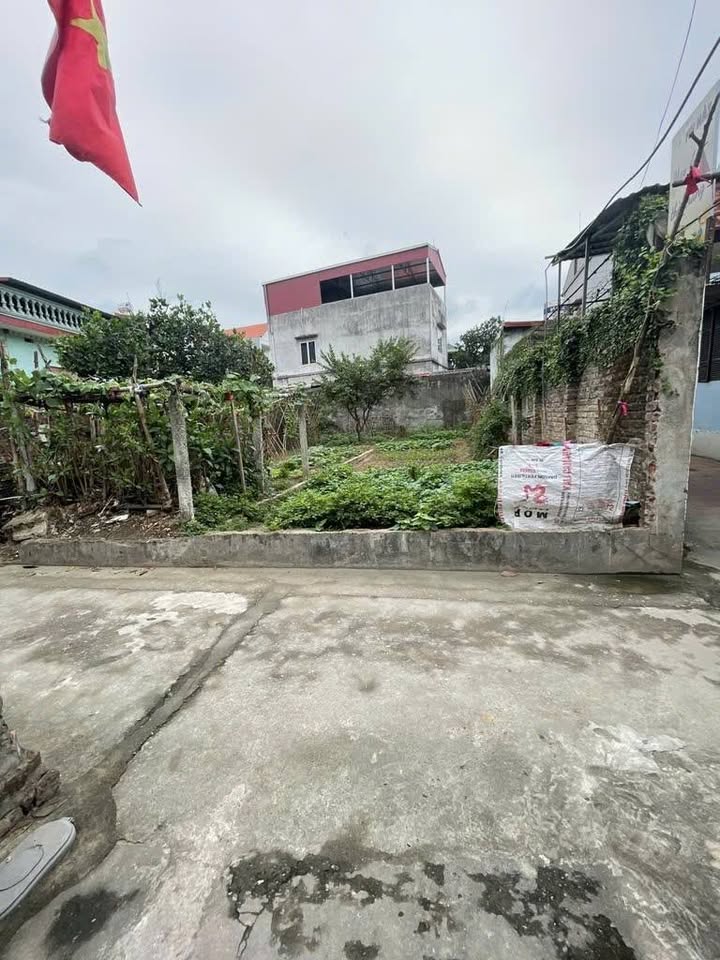 Đất nền Việt Hùng, Đông Anh, 91m² giá chỉ từ 60 triệu - Đầu tư sinh lời cao!