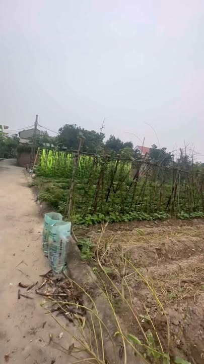 Đất nền tại Long Xuyên, Bình Giang 63m² - Lô góc giá tốt, ô tô vào tận nơi!