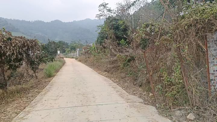 Đất nền Phúc Yên 50m² giá 1.6 tỷ - Cơ hội đầu tư hấp dẫn!