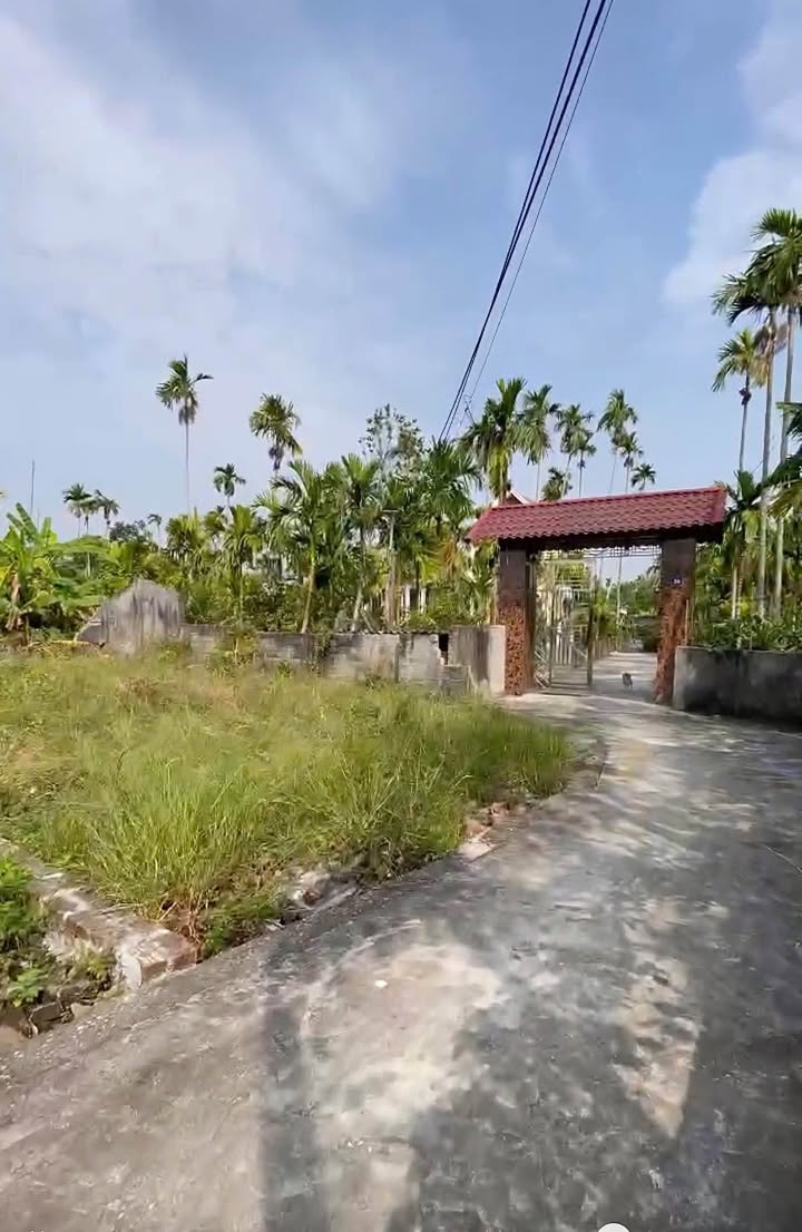 Đất nền Quốc Tuấn An Dương 60m² giá chỉ 600 triệu - Đầu tư sinh lời ngay!