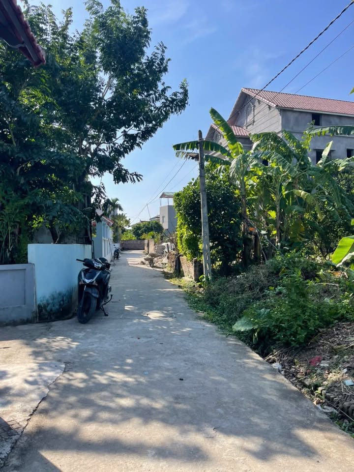 Đất nền thôn An Điềm A, Định Sơn, Cẩm Giàng 94.9m² giá chỉ 1 tỷ - Cơ hội đầu tư hiếm có!