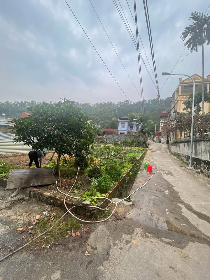 Đất nền lô góc đường Nui Chè, Tiên Du 75m² giá 2.1 tỷ - Đầu tư sinh lời ngay!