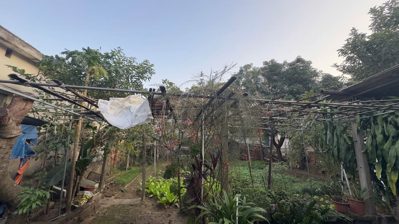 Đất thổ cư Hà Huy Tập Vinh 467m² giá thỏa thuận - Cơ hội đầu tư sinh lời!