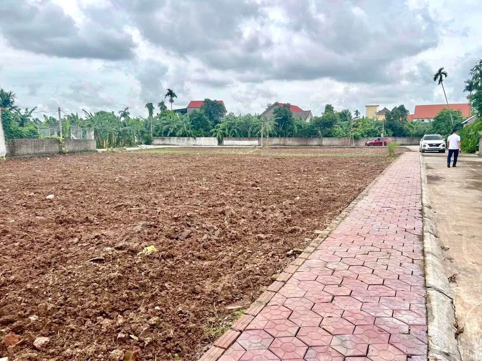 Đất thổ cư Thanh Khê, Thanh Hà 100m² - Giá bán nhanh chỉ 600 triệu!