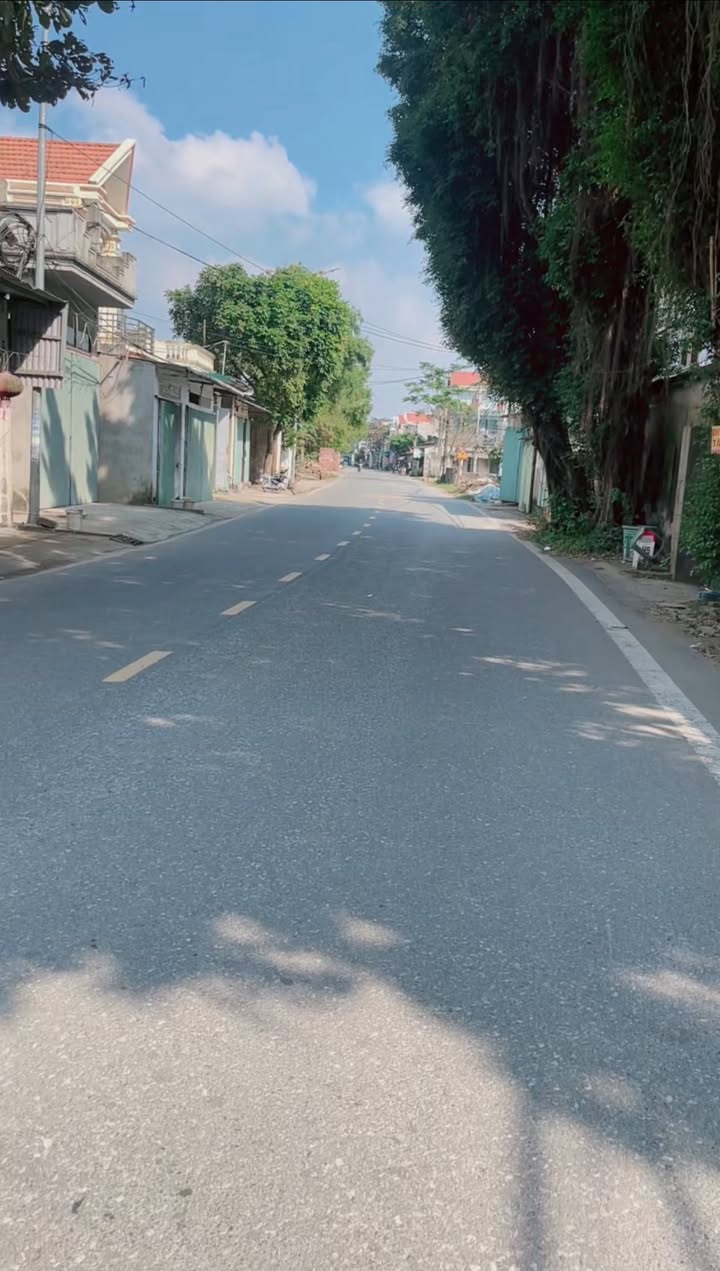 Đất trồng cây lâu năm tại Yên Ninh, Ninh Khánh 88m² - Sẵn nhà ở ngay!