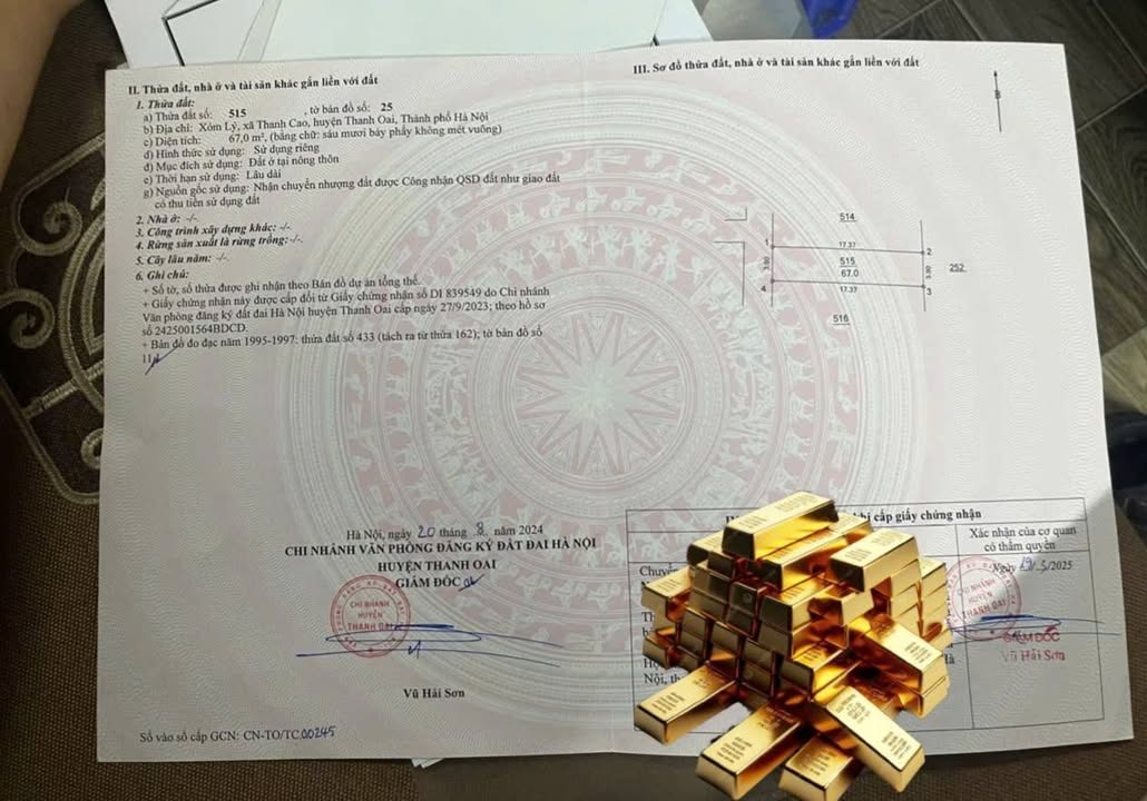 Đất nền Xóm Lý, xã Bình Minh, Thanh Oai 67m² giá 6 triệu/m² - Vị trí sầm uất, tiện ích đầy đủ!