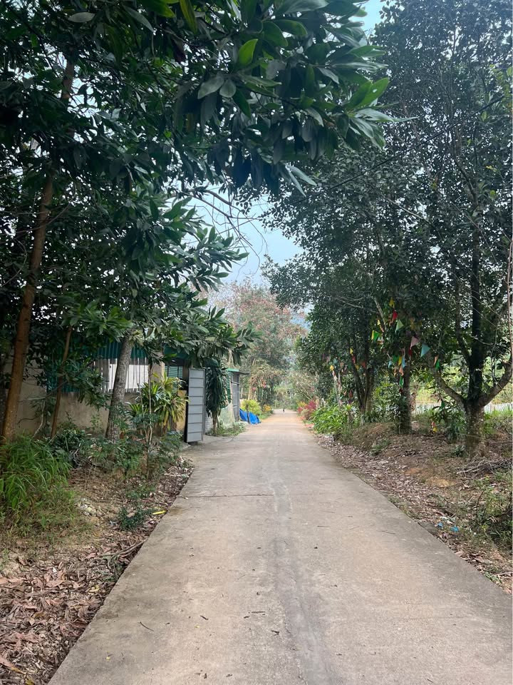 Đất tổ dân phố 10, phường Nông Tiến 110m² giá 1 tỷ - Đường rộng ô tô vào tận cửa!