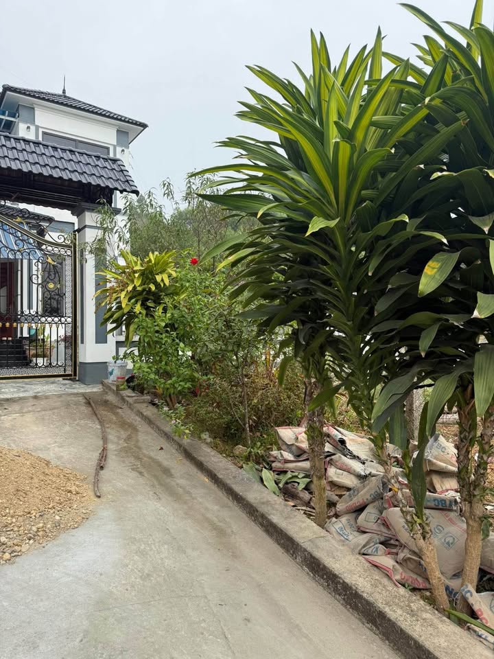 Đất nền Tuyên Quang 204m² - Nở hậu 8m, thổ cư 100%