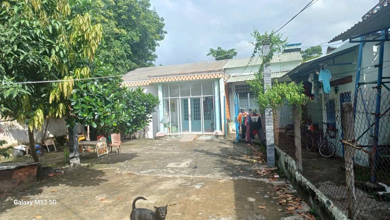 Đất nền An Điền, Bến Cát 811m² giá 5 tỷ - Tiềm năng đầu tư lớn!