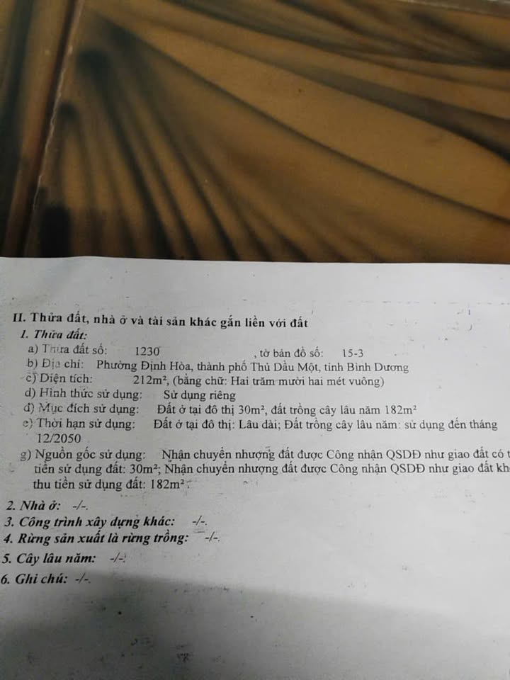 Nhà phố Thủ Dầu Một 210m² giá 2.9 tỷ - Vị trí đắc địa, sẵn sàng ở ngay!