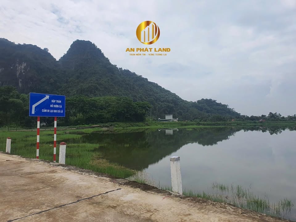 Đất Thạch Bình Nho Quan 964,3m² hướng Đông - View hồ Tiền Phong tuyệt đẹp!