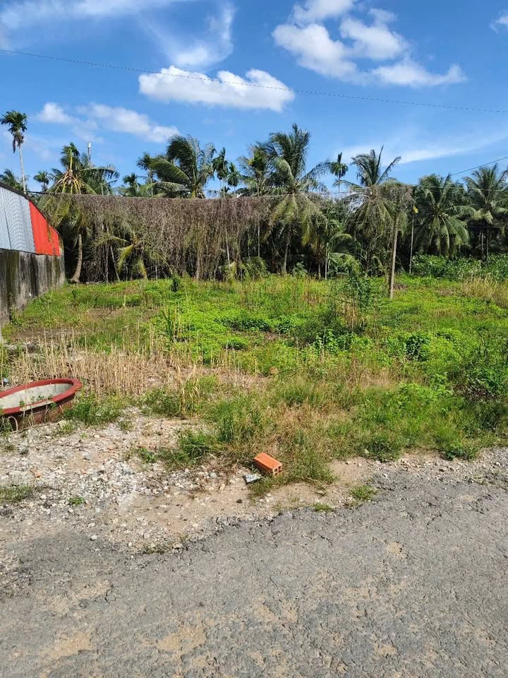 Đất nền mặt tiền đường nhựa An Thạnh 1, Cù Lao Dung, Sóc Trăng 1295m² - Giá chỉ 2.22 tỷ!