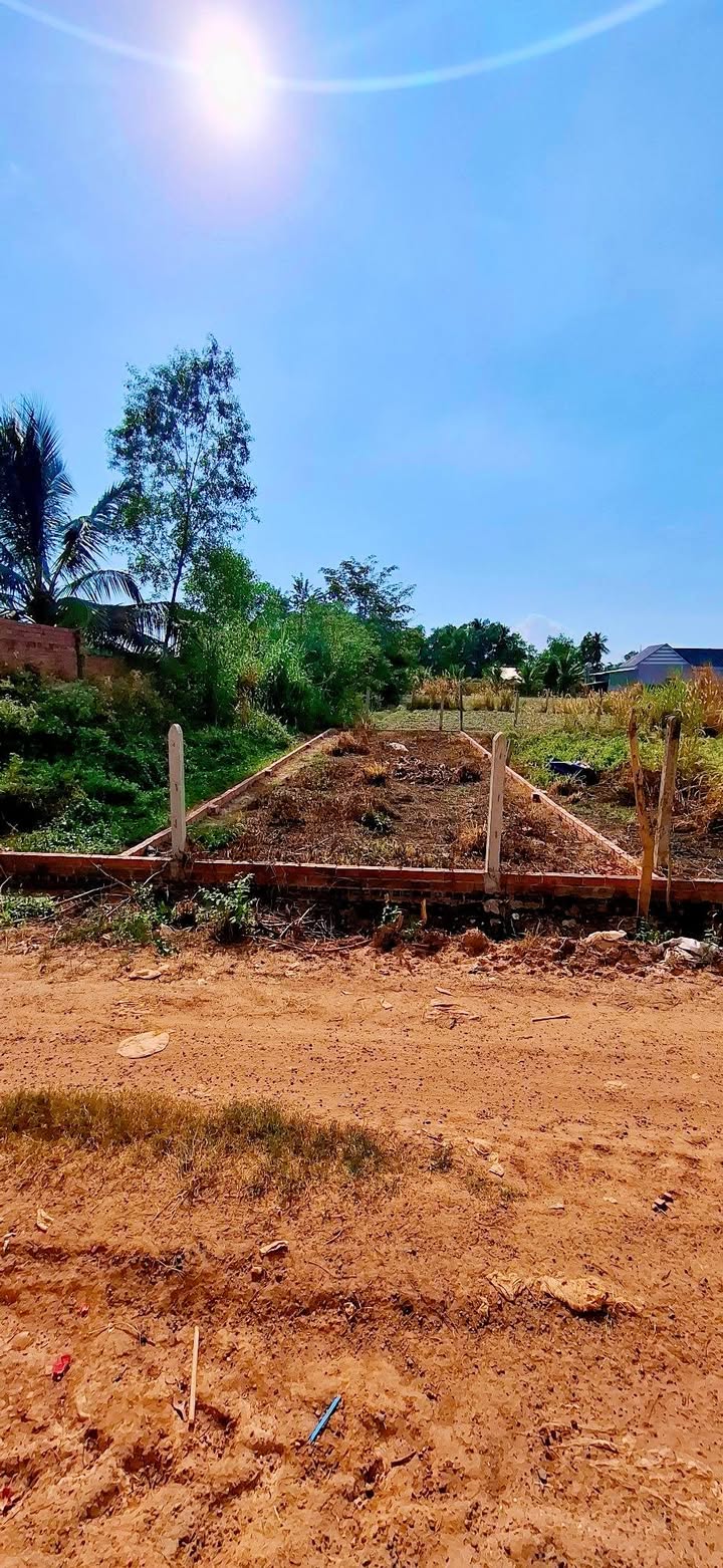 Đất liền kề 10m tại Phước Đông, Tây Ninh 100m² chỉ 480 triệu - Sổ đỏ riêng, pháp lý rõ ràng!