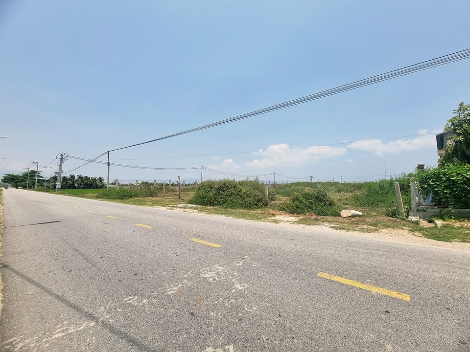 Đất TMDV mặt tiền đường 703, Ninh Phước 2000m² - Giá tốt cho nhà đầu tư!