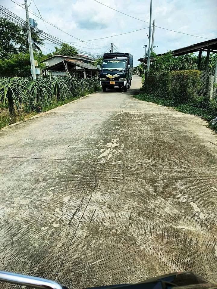 Đất lúa 2562m² mặt tiền đường Nguyễn Thông, Châu Thành - Đầu tư sinh lời ngay!