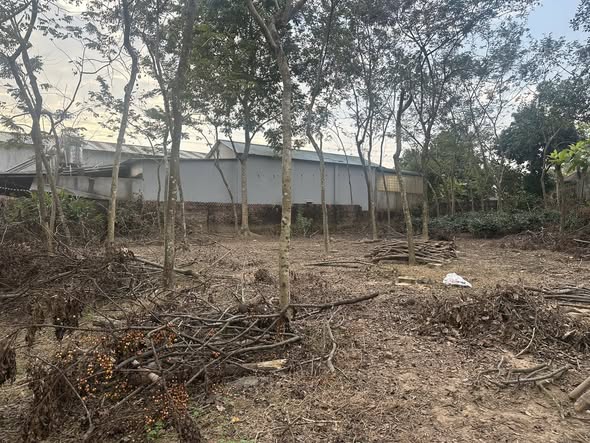 Đất Cầu Sơn, Trung Thành, Phổ Yên 450m² giá 1.8 tỷ - Đầu tư sinh lời lý tưởng