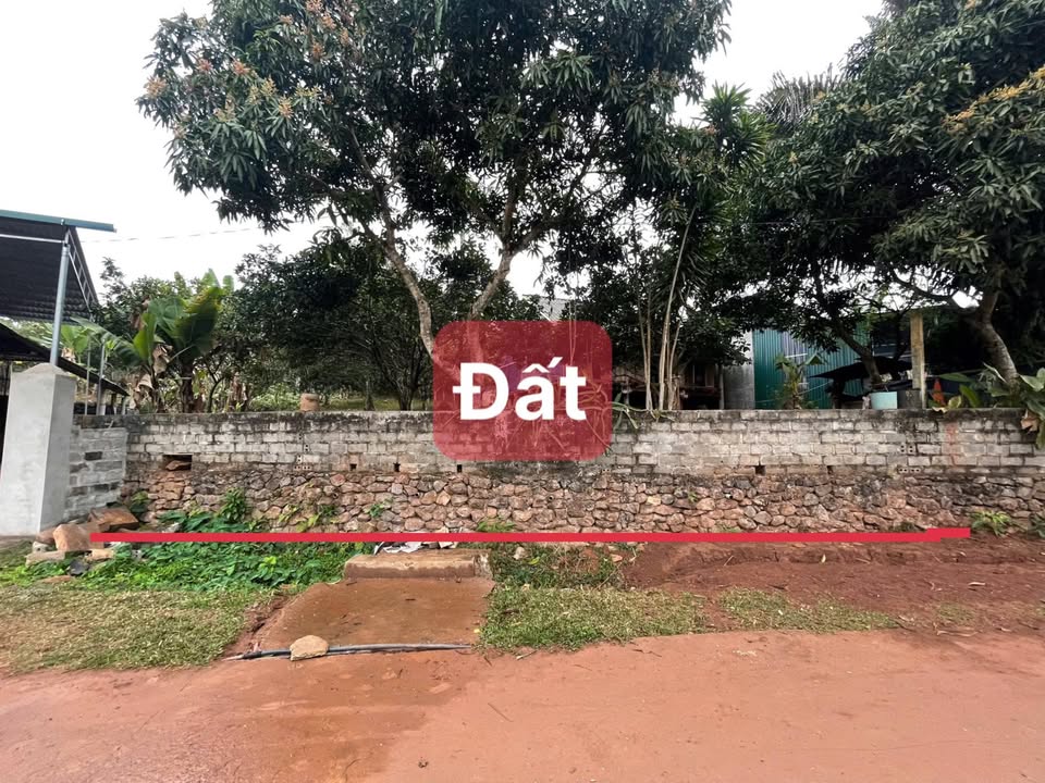 Đất nền farm Xóm Bục, Tân Lạc, Hòa Bình 527m² giá 600 triệu - View cánh đồng tuyệt đẹp!