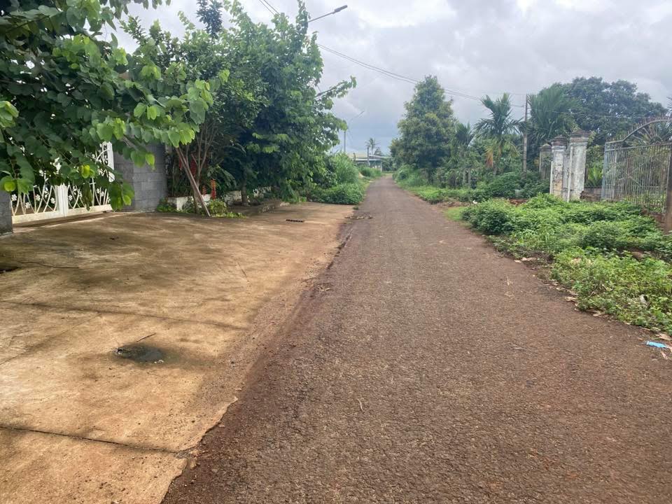 Đất mặt tiền Trương Vĩnh Ký - Biển Hồ 1157m² giá 2.05 tỷ - Đầu tư sinh lời ngay!