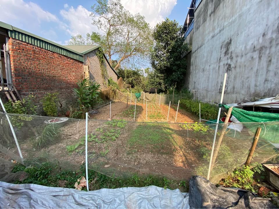 Đất thổ cư Thái Nguyên 160m² giá 2.9 tỷ - Vị trí đẹp, không ngập nước!