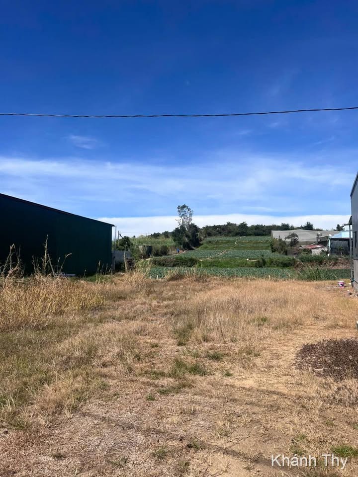 Đất nền D'Ran, Đơn Dương 300m² giá 3.9 tỷ - Cơ hội đầu tư tiềm năng!