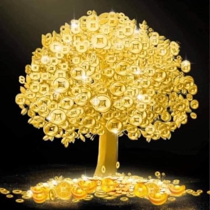 Nhà mặt tiền Hoàng Việt, xã Hồ Tràm, 350m² giá chỉ 230 triệu - Cơ hội đầu tư tuyệt vời!