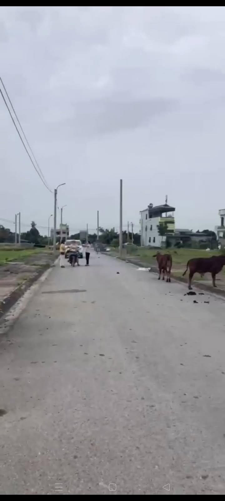 Đất nền Trịnh Xá, Phủ Lý 108m² giá 2.646 tỷ - Cơ hội đầu tư hấp dẫn!