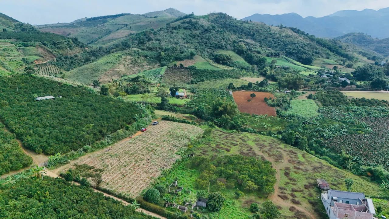 Đất Farm Chằng Ngoài, Hợp Phong 7000m² giá 4.2 tỷ - View 360 độ đẹp như tranh!