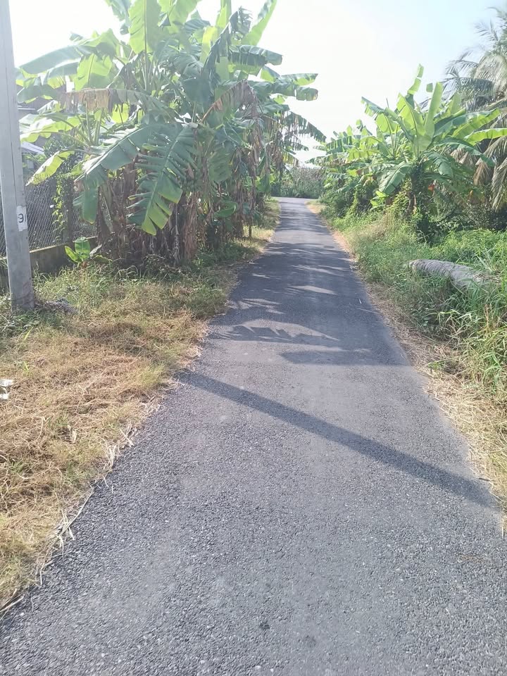 Đất nền 1000m² tại Ấp Điền Mỹ, Chợ Gạo - Sổ hồng chính chủ, giá thương lượng hấp dẫn!