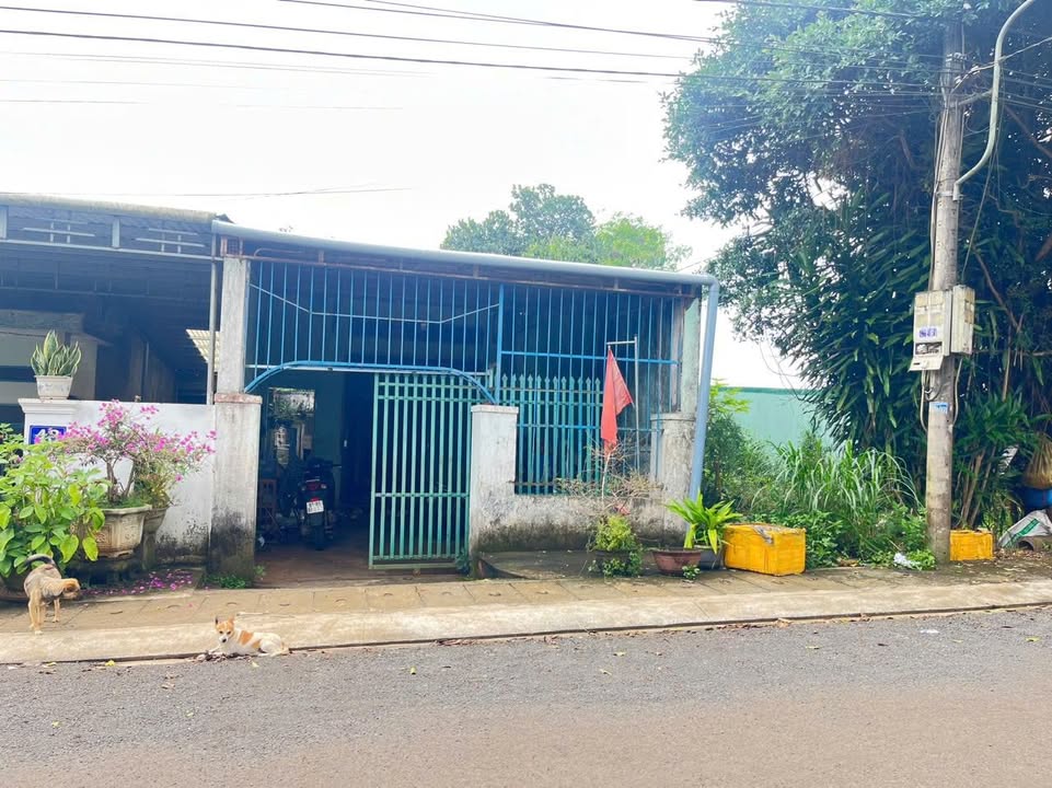 Bán đất mặt tiền Nguyễn Xí, Pleiku 225m² - Cơ hội đầu tư hiếm có!