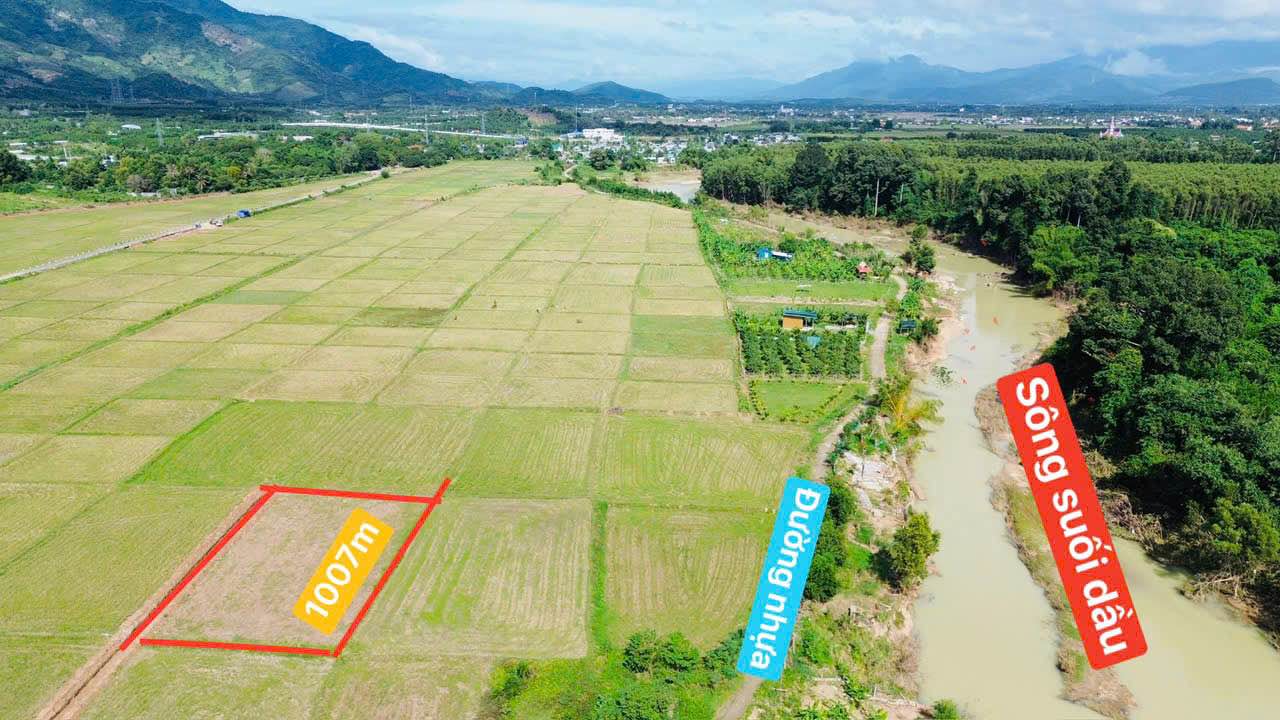 Đất lúa Suối Dầu Cam Lâm 1007m² chỉ 89 triệu - Cơ hội đầu tư hiếm có!