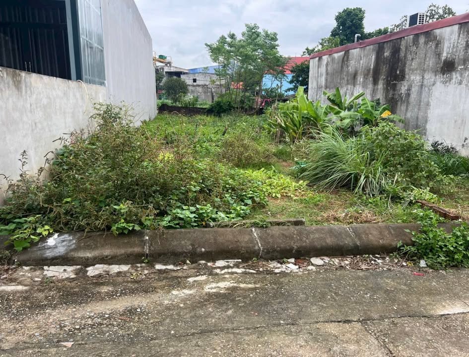 Lô đất Quang Tiến, Sóc Sơn 120m² giá 3 tỷ - Cơ hội vàng đầu tư!