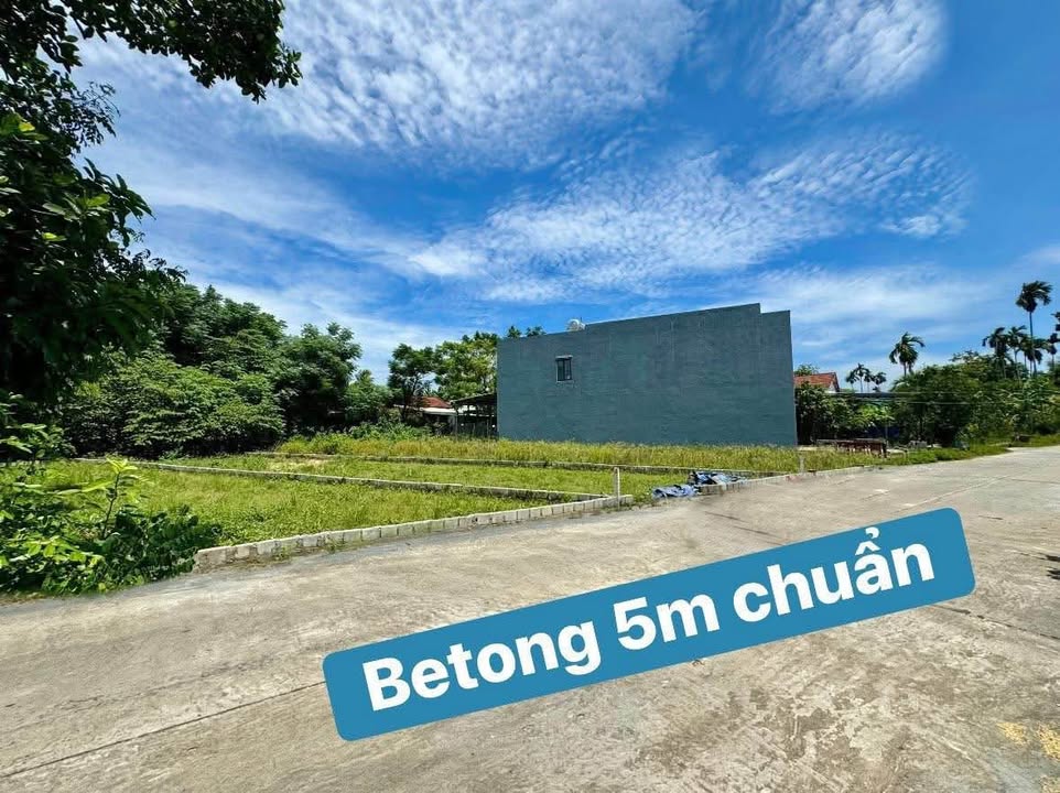 Đất nền Hòa Xuân 163m² giá 1.6 tỷ - Sổ hồng chính chủ!