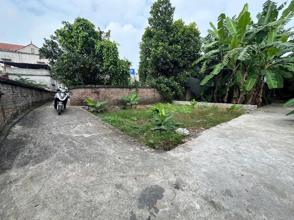 Đất nền lô góc tại Tự Nhiên, Thường Tín 42m² chỉ 2.1 tỷ - Cơ hội đầu tư sinh lời!