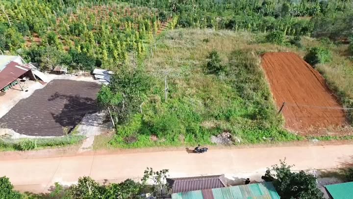 Đất nền mặt tiền bê tông Nam Bình Đắk Song 750m² giá 1.17 tỷ - Pháp lý rõ ràng