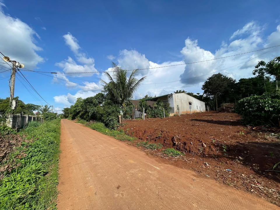 Đất nền Cư Suê 160m² giá chỉ 425 triệu - Đầu tư sinh lời siêu tốt!