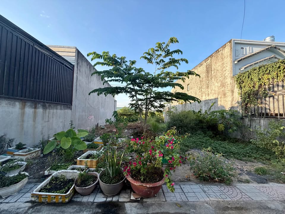 Đất nền Trảng Dài, Biên Hòa 105m² chỉ 1.22 tỷ - Mặt tiền kinh doanh thuận lợi!