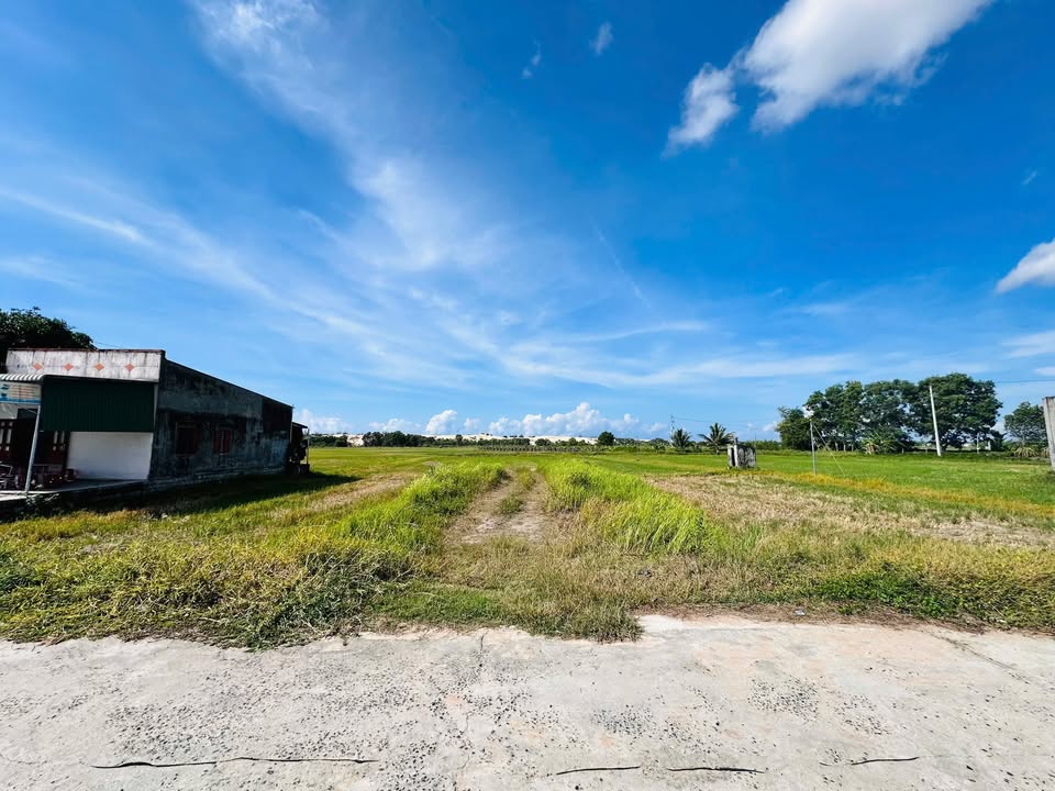 Đất nền khu dân cư Tân Tiến, La Gi 2450m² giá 3.9 tỷ - Đầu tư sinh lời ngay!