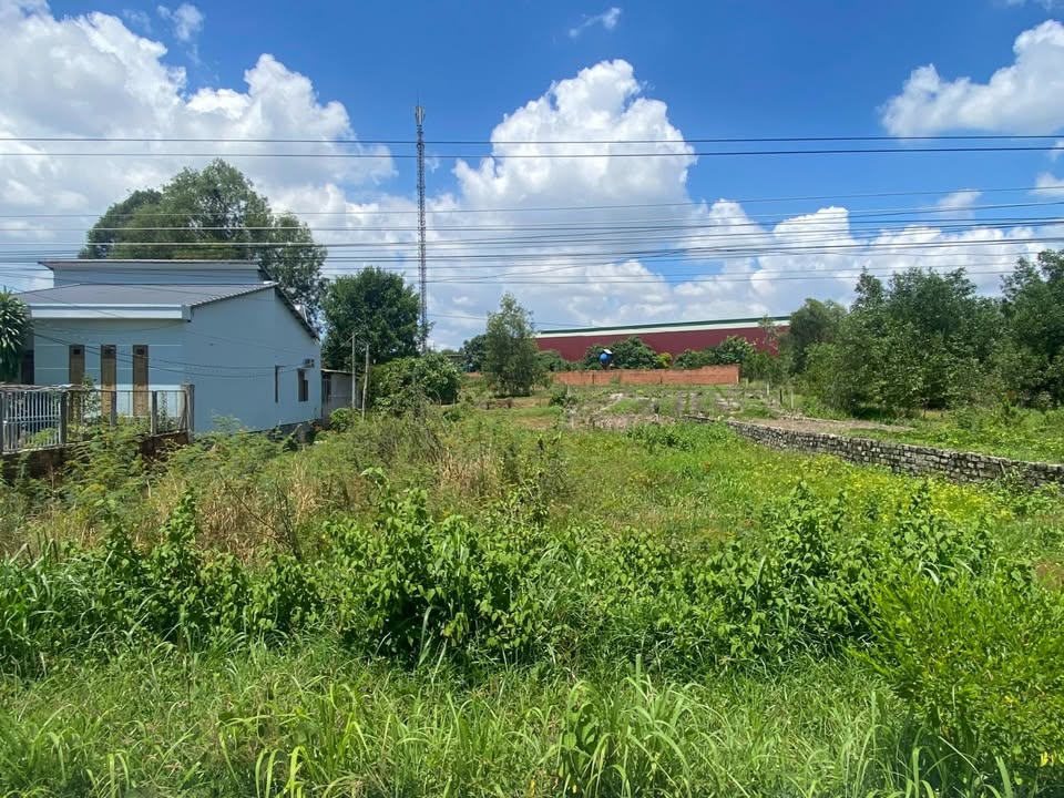 Đất mặt tiền Quốc Lộ 55, Phước Hội, La Gi 80m² giá 1.5 tỷ - Cơ hội đầu tư hiếm có!