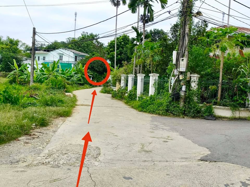 Đất nền đẹp tại phường An Tường, Tuyên Quang 100m² - Cơ hội đầu tư lý tưởng!