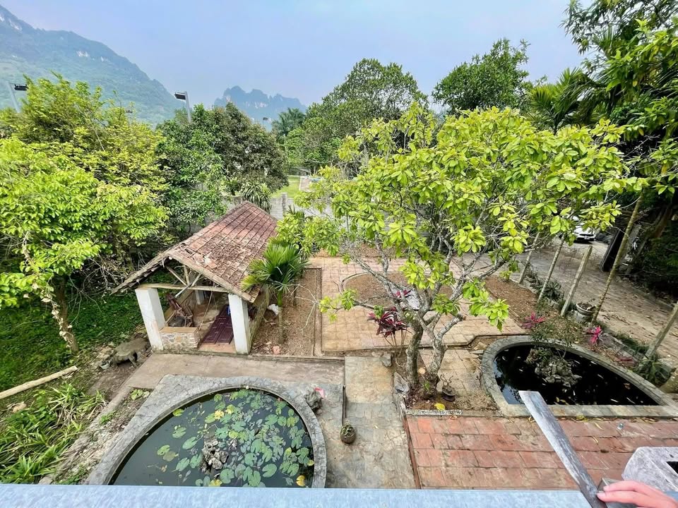 Bán khuôn viên nhà vườn Lâm Sơn, Lương Sơn 928m² - Sổ đỏ chính chủ, giá chỉ 5.171 tỷ