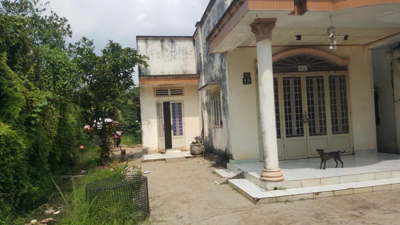 Đất thổ cư 340m² tại Bình Mỹ, Củ Chi giá 3.2 tỷ - Cơ hội đầu tư hấp dẫn!