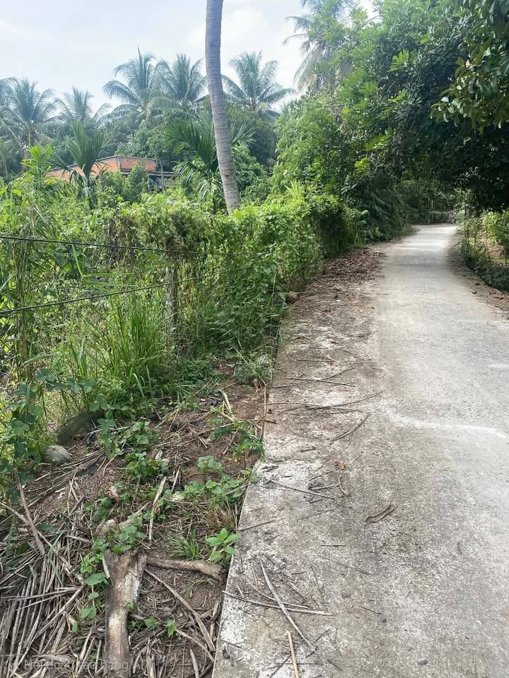 Đất nền Chợ Lách - Long Thới 2000m² giá 1.4 tỷ - Pháp lý rõ ràng, thuận tiện đầu tư!