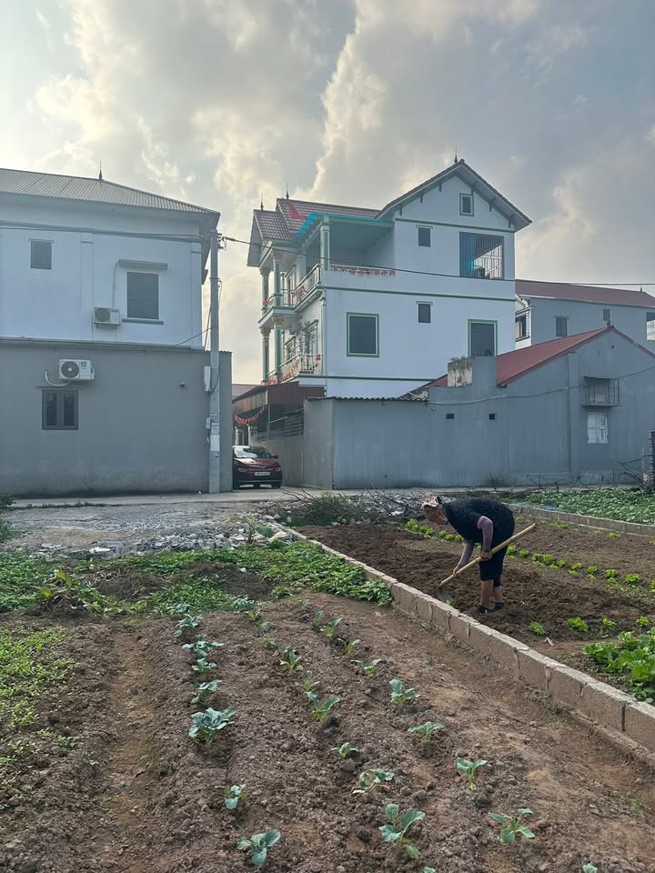 Lô đất chính chủ Hòa Phú 119m² giá chỉ 2.384 tỷ - Cơ hội đầu tư hấp dẫn!