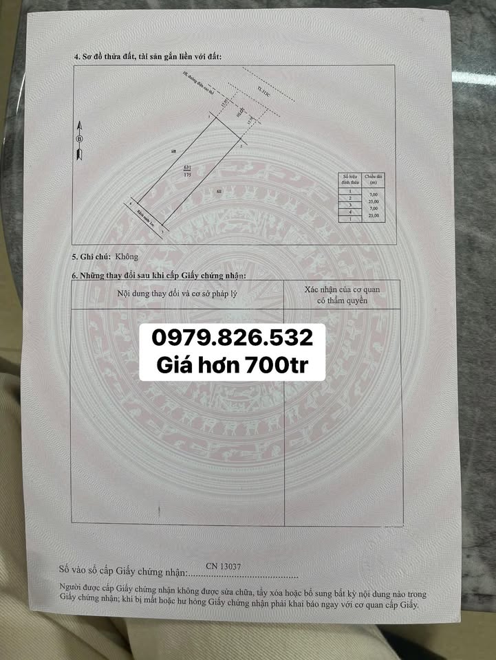 Đất mặt đường TL 313C, Đồng Lương, Cẩm Khê, 175m² - Cơ hội đầu tư hấp dẫn!